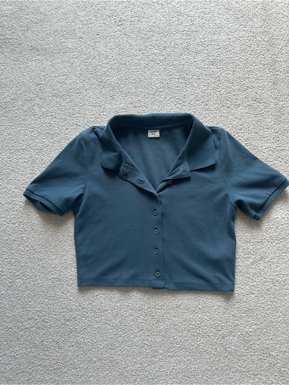 Aritzia Sunday Best Cropped Polo Shirt
